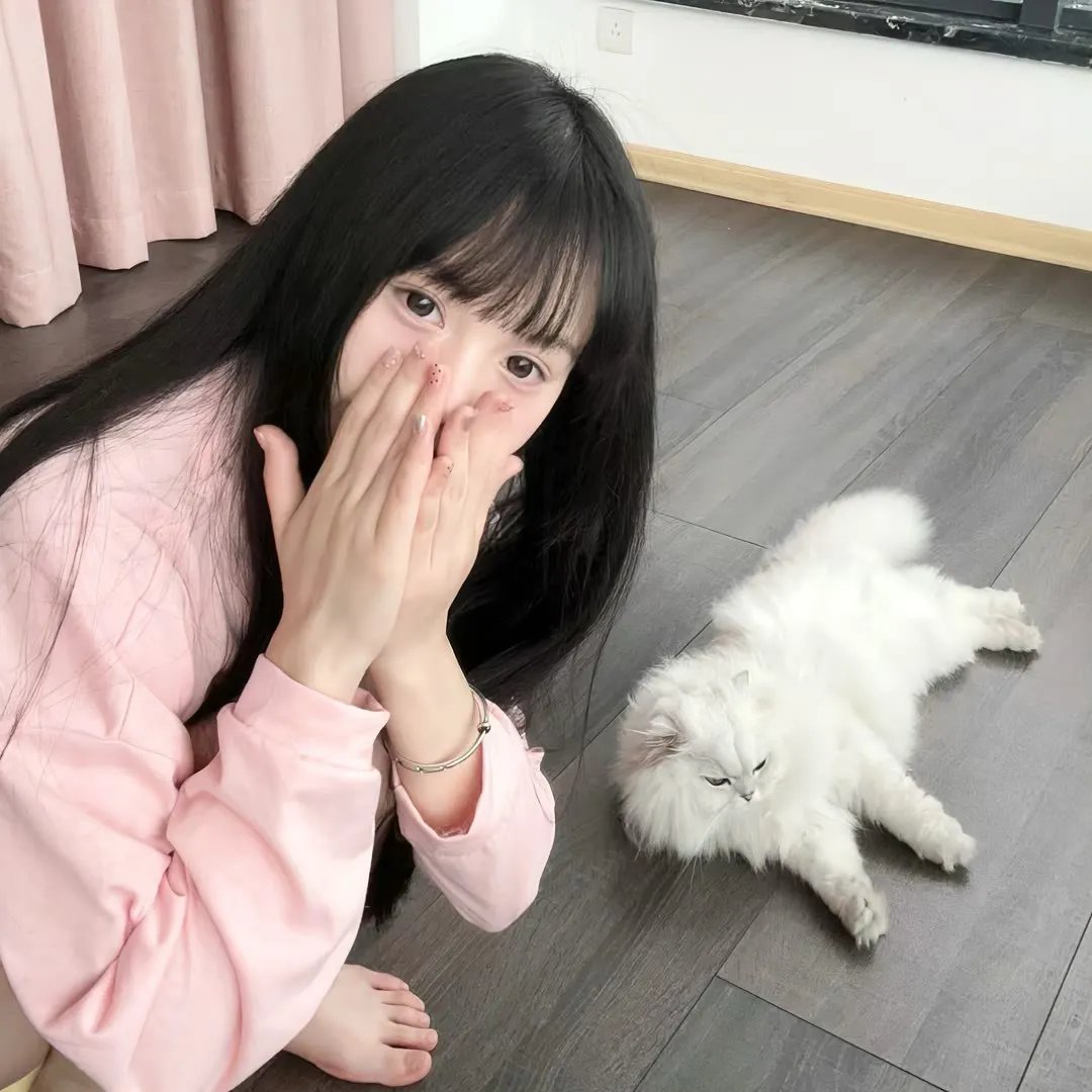 去里斯本的夜车